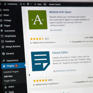 what do you learn on wordpress